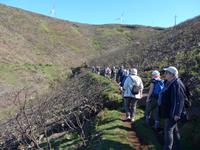 Madeira, Levada do Paul