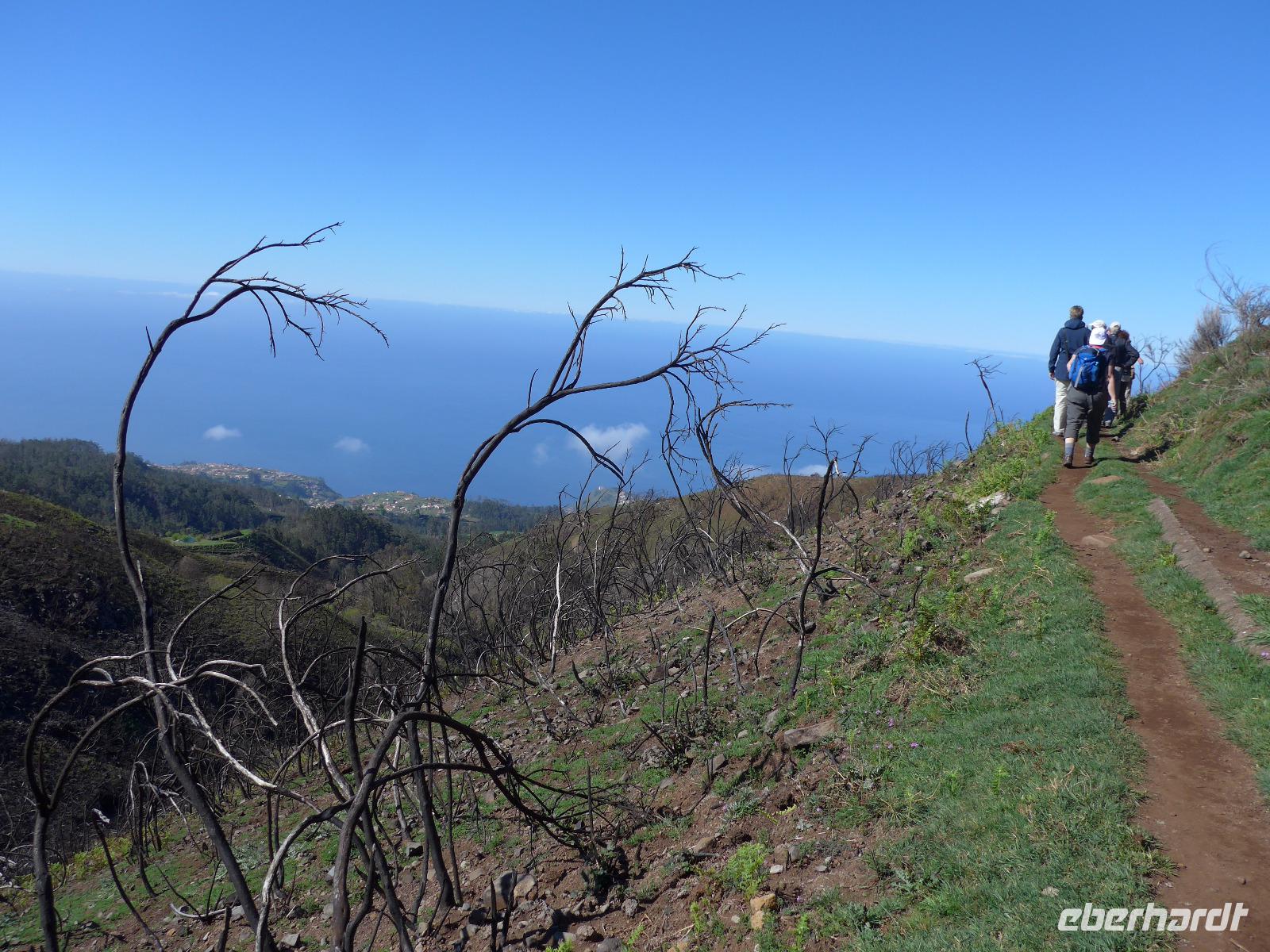Madeira, Levada do Paul