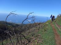 Madeira, Levada do Paul