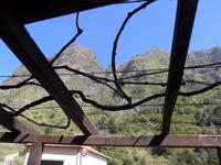 Madeira, Poncha Bar in Serra de Agua