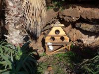 Madeira, Canico de Baixo