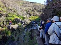 Madeira, Levada do Paul