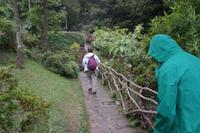 Ribeiro Frio (kalter Bach)