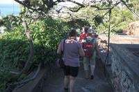 in der Orchideen-Schau