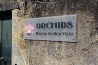 Orchideen-Garten in Funchal
