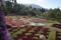 botanischer Garten Funchal