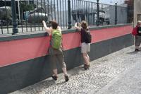 vor dem Geländer war der Park offen - so wird Fotografieren zum Sport