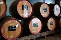 in Blandy's Wein-Kontor