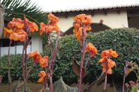 hm. hab' den Namen vergessen