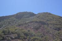 Blick zum höchsten Berg Pico do Ruivo 1.862 m