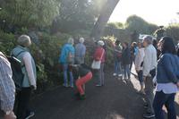 3.Tag Botanischer Garten Funchal