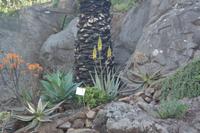 3.Tag Botanischer Garten Funchal