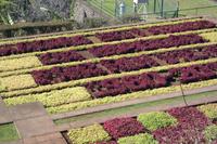 3.Tag Botanischer Garten Funchal