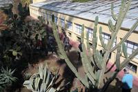 3.Tag Botanischer Garten Funchal