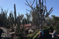 3.Tag Botanischer Garten Funchal