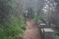Wanderung Levada da Serra Faial