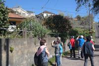 Wanderung Levada da Serra Faial