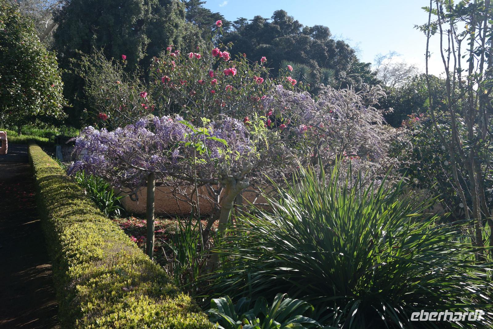 6.Tag Gärten Madeiras