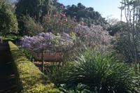 6.Tag Gärten Madeiras