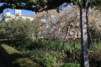 6.Tag Gärten Madeiras