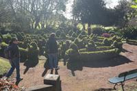 6.Tag Gärten Madeiras