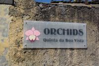 Orchideengarten in Funchal