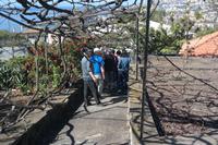 Orchideengarten in Funchal