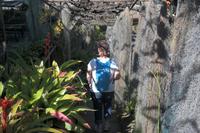 Orchideengarten in Funchal (rechts im Bild Tillandsia usneoide )