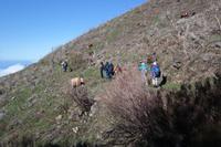 noch ist es harmlos...