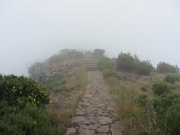 Auf dem Weg zum Pico Ruivo durchqueren wir die Wolkendecke