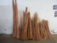 Der Rohstoff für die Korbflechterei