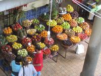 Früchte und Gemüse in Hülle und Fülle