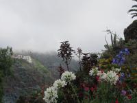 Im botanischen Garten 