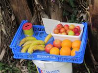 Verpflegungsstation mit Vertrauenskasse entlang des Weges