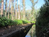 Levadawanderung um 10 Uhr morgens