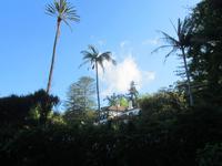 Anwesen der Familie Blandy im Palheiro-Garten
