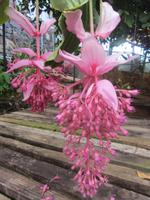 In der Quinta Boa Vista