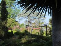 Quinta do Palheiro - Ein Platz der Ruhe