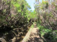 Levada-Wanderung