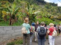 Madeira, Levada Marocos
