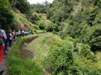 Madeira, Levada Marocos