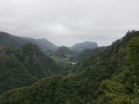Madeira, Blick von Balcoes zum Adlerfelsen