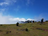 Madeira, Weg zum Pico Ruivo