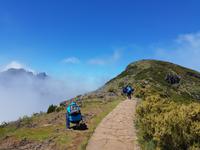 Madeira, Weg zum Pico Ruivo