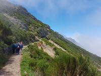 Madeira, Weg zum Pico Ruivo
