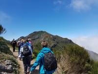 Madeira, Weg zum Pico Ruivo
