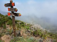 Madeira, Weg zum Pico Ruivo