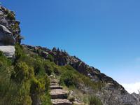 Madeira, Weg zum Pico Ruivo