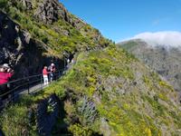 Madeira, Eira do Serrado