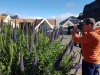 Madeira, Eira do Serrado, Stolz Madeiras